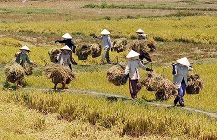 Hotspot Matrix: Cánh cửa vàng cho Nghệ sĩ Đường phố