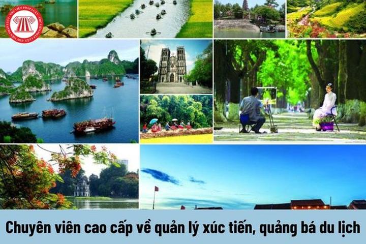 Xu hướng Nhà văn nói: 1 người nóng nảy: Hotspot Matrix tiết lộ bí quyết video viral
