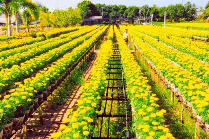 Trong những năm gần đây, xu hướng về thể thao và sức khỏe ngày càng trở nên