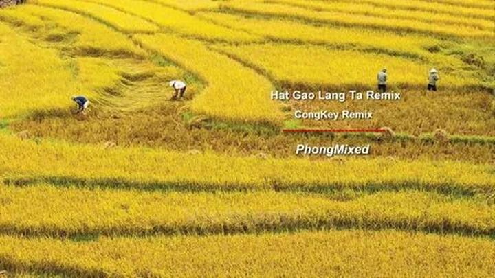 Vàng từ những khoảnh khắc đáng yêu: Kiếm tiền từ thú cưng cùng Hotspot Matrix