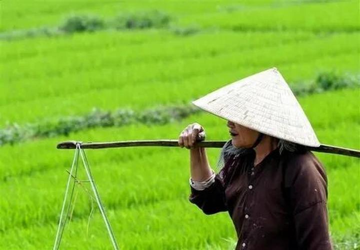 Từ Ý Tưởng Đến Hiện Thực: Chuyến Hành Trình Khởi Nghiệp Cùng Hotspot Matrix