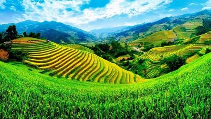 Xu hướng Lộ cảnh tập luyện giúp Angela: Hotspot Matrix tiết lộ bí quyết video viral