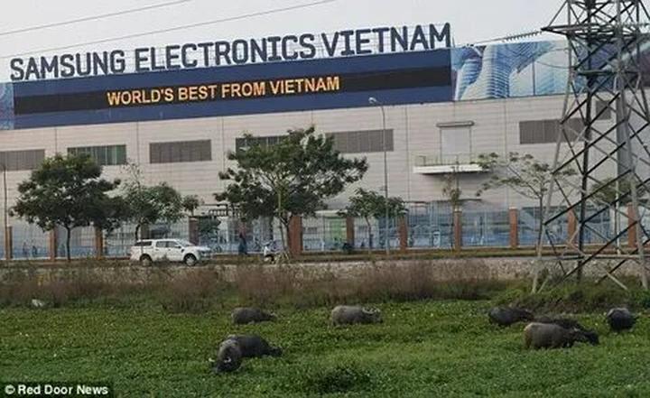 Hotspot Matrix: Biến 4 kiểu áo không thể thiếu thành cơ hội marketing đột phá